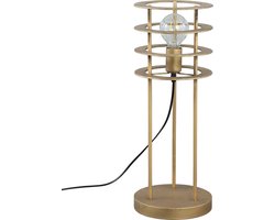 PTMD Falcon Vloerlamp - 21 x 21 x 55 cm - Metaal - Goud - Goud