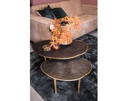 PTMD Haley Brass Bijzettafel - 87 x 58 x 37 cm - Ijzer - Goud
