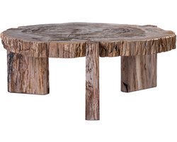 PTMD Kayo Natural Petrified Wood 3 Leg Coffeetable Low