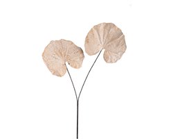 PTMD - Kunstblad Leaves - Beige - 62x57x90cm