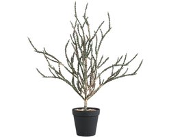 PTMD - Kunstblad Leaves - Groen - 37x46x50cm