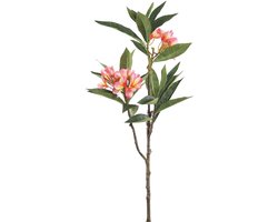 PTMD Plumeria Kunstbloem - 72 x 25 x 110 cm - Kunststof - Roze