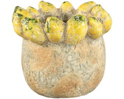 PTMD - Pot Fruitsy - Geel - 23.5x23.5x20cm