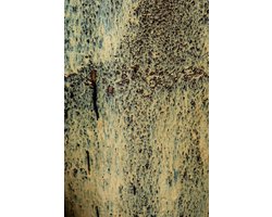 PTMD - Pot Lisie - Beige - 71x71x160cm
