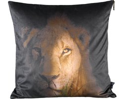 PTMD Raf Vierkant Kussen Leeuw - 45 x 10 x 45 cm - Velvet - Bruin
