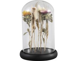 PTMD Rossa Ronde Stolp Gedroogde Bloemen - H22xØ14 cm - Glas