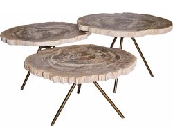 PTMD Salontafel New Khine Versteend Hout Brass Set van 3