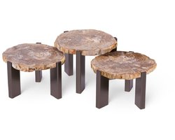 PTMD Salontafel Rudi - 50x60x43 cm - Hout - Naturel - Set van 3
