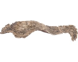 PTMD Schaal Aitana - 66x18x10 cm - Aluminium - Goud