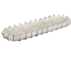 PTMD Schaal Cheyene - 60x20x5 cm - Cement - Creme