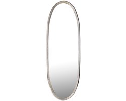 PTMD - Spiegel Limera - Goud - 61x3.5x178cm