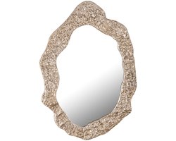PTMD Spiegel Morina - 88x61x3 cm - Aluminium - Chamagne