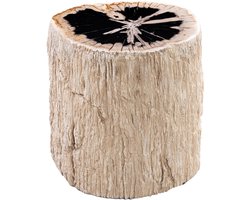 PTMD Taly Natural Petrified Wood Round Stool Fiberglass