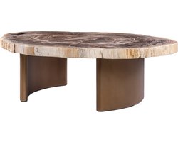 PTMD Yoel Natural Petrified Wood Coffeetable Brass Base