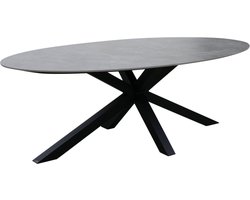 Puccini dining tuintafel 220x120 cm ovaal keramisch blad