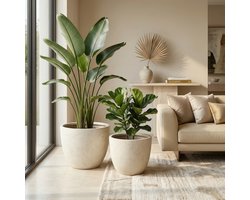 Pugsdrly Set van 2 ronde betonnen plantenbakken, grote handgemaakte rustieke decoratieve plantenpotten voor binnen en buiten met afwateringsgaten voor thuis, tuin en terras, 38 x 32 cm & 45 x 37 cm (wit)