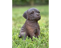 Puppy zittend 3 ass Labrador bruin - hond - polyester - polystone - beeld - tuinbeeld - hoogkwalitatieve kunststof - decoratiefiguur - interieur - accessoire - voor binnen - voor buiten - cadeau - geschenk - kerst - nieuwjaar
