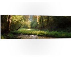 PVC Schuimplaat- Bos - Natuur - Water - Beekje - Stenen - Bomen - 120x40 cm Foto op PVC Schuimplaat