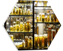 PVC Schuimplaat Hexagon - Kast met Dieren op Sterk Water - 40x34.8 cm Foto op Hexagon (Met Ophangsysteem)