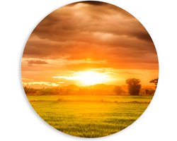 PVC Schuimplaat Muurcirkel - Felle Zonnestralen over Groen Gras in Landschap - 60x60 cm Foto op Muurcirkel (met ophangsysteem)