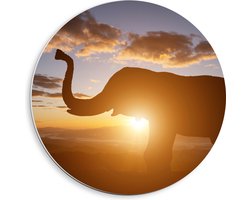 PVC Schuimplaat Muurcirkel - Zonnestralen achter Olifant omringd door Wolken - 40x40 cm Foto op Muurcirkel (met ophangsysteem)