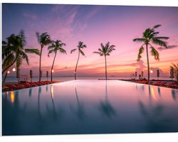 PVC Schuimplaat - Palmbomen bij Ligbedden aan het Water tijdens de Avondzon - 80x60 cm Foto op PVC Schuimplaat (Met Ophangsysteem)