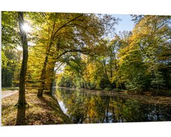 PVC Schuimplaat - Zonnestralen door de Bladeren van de Bomen op Sloot - 120x80 cm Foto op PVC Schuimplaat (Met Ophangsysteem)