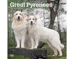 Pyreneese Berghond Kalender 2026