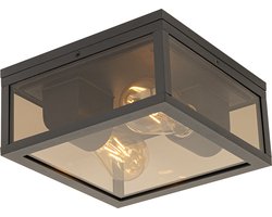 QAZQA charlois - Moderne Plafondlamp voor buiten - 2 lichts - L 24 cm - Brons - Buitenverlichting