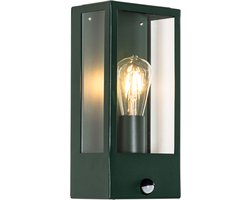 QAZQA rotterdam - Industriele Wandlamp met Bewegingsmelder | Bewegingssensor | sensor voor buiten - 1 lichts - L 16 cm - Groen - Industrieel - Buitenverlichting