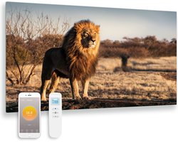 Quality Heating - QH-GD Serie - Bedrukt glazen infrarood paneel - Infrarood verwarming - Infrarood verwarmingspaneel - Met thermostaat - Wand – Wifi – Afstandsbediening - 100 × 59 cm - 580Watt