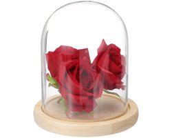 QUARKZMAN Glazen Klok Vitrine - 15x12x14cm Houten Sokkel