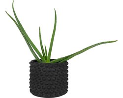 QUVIO Bloempot met bolletjes - Voor binnen en buiten - Plantenpot - Plantenhouder - Plantenbak - Tuinieren - Balkonbak - Plantenaccessoires - Beton - Rond - Diameter 15 cm - Zwart