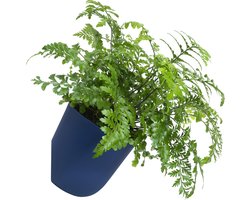 QUVIO Bloempot voor aan de wand - Bloempotten voor binnen - Bloempotten voor buiten - Bloempotten - Bloempot buiten - Bloempot binnen - Bloempotten kunststof - Plantenbak - Moestuinbak - Balkonbak - Diameter 15 cm - Donkerblauw