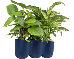 QUVIO Bloempot voor aan de wand - Bloempotten voor binnen - Bloempotten voor buiten - Bloempotten - Bloempot buiten - Bloempot binnen - Bloempotten kunststof - Plantenbak - Moestuinbak - Balkonbak - 15 x 43,5 cm - Donkerblauw