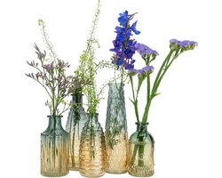 QUVIO Glazen vazen - Set van 5 - Vaasjes voor droogbloemen - Vaasjes voor echte bloemen - Retro vazen - Woonaccessoires voor bloemen en boeketten - Woondecoratie - Glas - Geel / Blauw