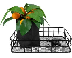 QUVIO Opbergmand - Mand - Opbergbox - Draadmand - Bureau organizer - Kast organizer - Kruidenrek - Kruiden organizer - Specerijen rek - Kruidenrekje - Draadstaal - 16 x 25 x 6 cm - Zwart