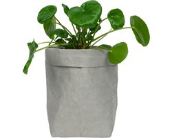 QUVIO Plantenzak - Bloempot voor binnen - Plantenbak - Tuinieren - Bloemen - Plantenpot - Planten houder - Milieuvriendelijk - Kraftpapier - 10 x 10 x 20 cm (lxbxh) - Grijs