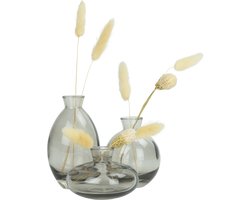 QUVIO Vazen set van 3 - Vaas voor droogbloemen - Glazen vaas - Bloemenvaas - Woonaccessoires voor bloemen en boeketten - Decoratieve accessoires - Bruiloft - Verjaardag - Glas - Transparant grijs