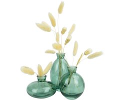 QUVIO Vazen set van 3 - Vaas voor droogbloemen - Glazen vaas - Bloemenvaas - Woonaccessoires voor bloemen en boeketten - Decoratieve accessoires - Glas - Transparant groen - 7 x 12 cm (dxh)