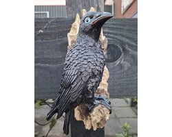 Raaf op stam beeld - muurdecoratie - Gedetailleerd - Losse beelden - Polyresin - Polystone - Wonen - Decoratie - Woondecoratie - Merchandise - Mancave