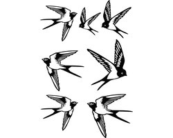 Raam stickers - Muur stickers Zwaluwen - Decoratief - Vogels - Dieren - Wanddecoratie
