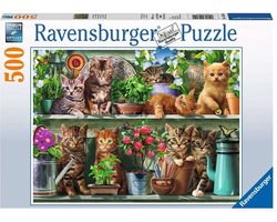 Ravensburger puzzel dieren Katjes in het rek - Puzzel - 500 stukjes - Vanaf 3 jaar