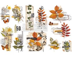Re-Design with Prima - decor transfer - Foliage collector