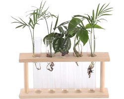 Reageerbuis Plantenterrarium voor Hydrocultuur - Glazen Plantenbak met Houten Standaard - Huis, Tuin, Kantoor Decoratie