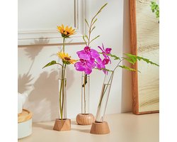 Reageerbuis Vaas - Glazen Hydrovaas - Planten Presenteren - Met Houten Standaard - 15.5 cm Hoog - Transparant
