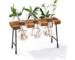 Reageerbuis Vaas Hydrocultuur Vaas - Hangvaas Bloemenvaas Tafelvaas Luchtplanten Terrarium Bureau Decoratieve Vaas met Houten Houder - Glas Plant voor Kantoor, Huis & Tuin Decoratie - Set van 3 Vazen