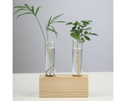 Reageerbuisvaas Houten Standaard - Glazen Vaas Planter - Planten Voortplanten - Hoge Transparantie - Dubbele Buis - Niet gespecificeerd