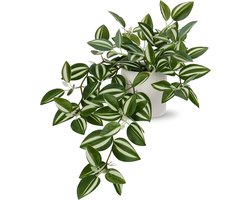 Realistische Kunstplanten in Keramische Potten - Hangende Decoratieve Plant voor Binnen en Buiten, Perfect voor Thuis, Kantoor, Badkamer en Keuken