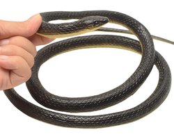Realistische Rubber Python Slang, Grote Speelgoed Slang voor Tuinaccessoires, Grappige Cadeau voor Pret en Vermaak, 123 cm